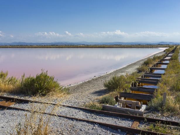 hotelcommodore en visit-to-the-cervia-salt-pans-and-stay-in-a-hotel 005