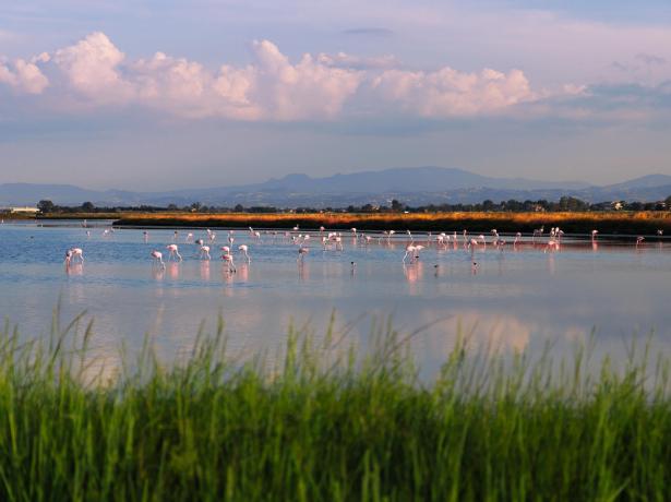 hotelcommodore en hotel-offer-in-cervia-granfondo-via-del-sale 008