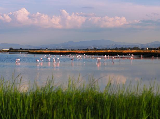 hotelcommodore fr mai-a-cervia-a-l-hotel-en-bord-de-mer 009