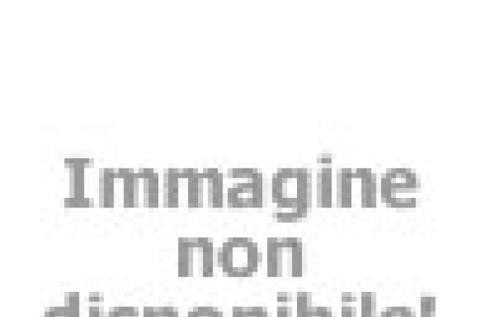 hotelcommodore it hotel-pet-friendly 005