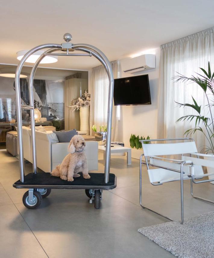 hotelcommodore it hotel-pet-friendly 006